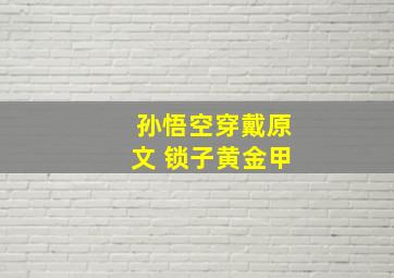 孙悟空穿戴原文 锁子黄金甲